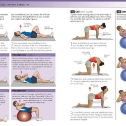 Lower back exercises at home